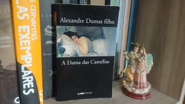 Sinopse do livro: A Dama das Camélias. 